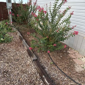 Landscaping by Williams lawncare reviewed on September 7, 2021