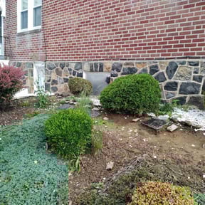 Bush Trimming by The Crew Lawn Care reviewed on May 17, 2022