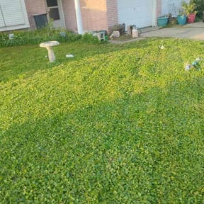 Leaf Removal by Gardner 3 Tools reviewed on June 25, 2022