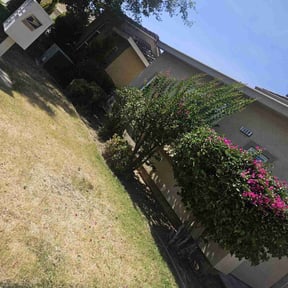 Bush Trimming by Perry's Landscaping LLC reviewed on July 1, 2022