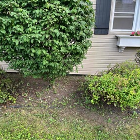 Flower Bed Weeding by Smith family lawn service reviewed on June 27, 2022