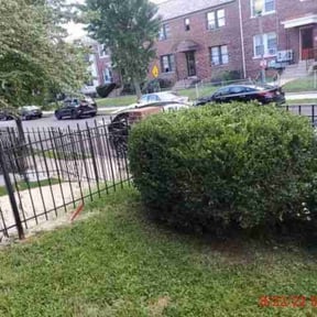 Bush Trimming by Y.A.Y Landscaping reviewed on May 12, 2025