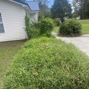 Bush Trimming by Sunnyside of Hillsborough reviewed on May 16, 2022
