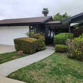 Bush Trimming by Sbm reviewed on September 8, 2024