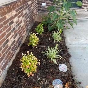 Flower Bed Weeding by A Couple of Guys reviewed on April 9, 2025
