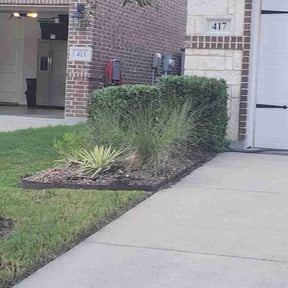 Bush Trimming by Davis & Davis lawns and more reviewed on June 18, 2022