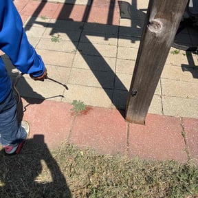 Flower Bed Weeding by Beez Lawncare reviewed on August 2, 2022