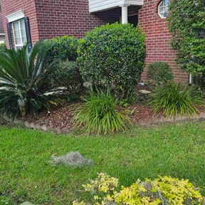 Bush Trimming by García-G lawn care service LLC reviewed on May 23, 2022