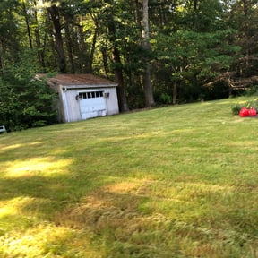 Cleanups by American Dream Lawn and Services reviewed on July 19, 2022