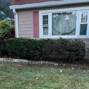 Bush Trimming by Early Bird Lawn Care LLC reviewed on May 27, 2022
