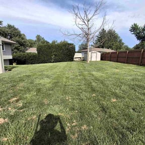 Weeding by Bear foot lawns reviewed on June 24, 2025