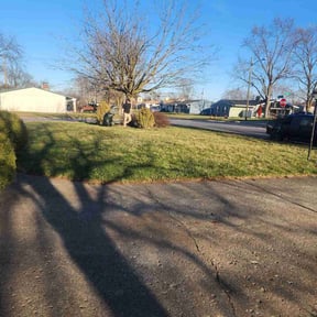 Leaf Removal by MJ'S Lawn service reviewed on September 15, 2024