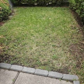 Cleanups by A1 America Landscaping reviewed on October 17, 2024