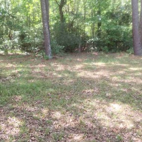 Cleanups by Marroquin Landscaping reviewed on July 3, 2025