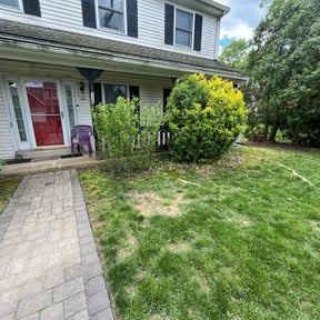 Bush Trimming by R e.r. contracting inc reviewed on May 10, 2022