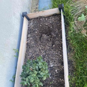 Flower Bed Weeding by LSLTDallas/FortWorthTruGreen reviewed on May 27, 2025