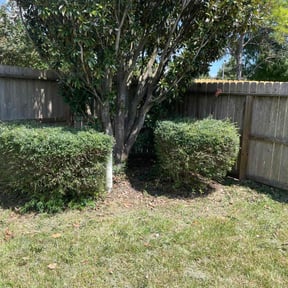 Cleanups by Jerry Rios Lawn Serviceu reviewed on December 30, 2021