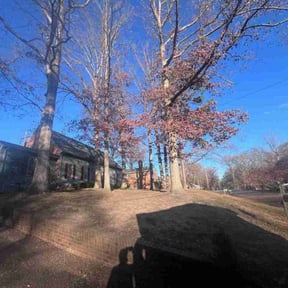 Leaf Removal by Yolanda reviewed on May 13, 2023