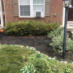 Mulching by AP Landscapers reviewed on September 3, 2024