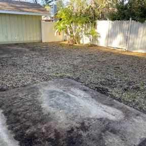 Landscaping by DR Lawn Care Services reviewed on July 12, 2025