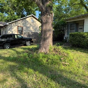 Cleanups by Cream of the Cut Lawn Care reviewed on April 29, 2022