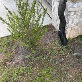 Weeding by ATM reviewed on July 17, 2025