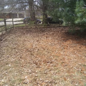 Leaf Removal by Goetz Lawn Care reviewed on June 8, 2022