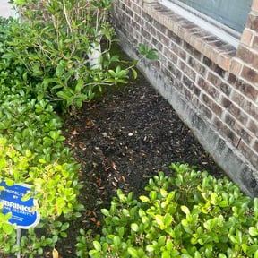 Flower Bed Weeding by Katos lawn service reviewed on June 10, 2022