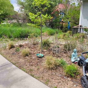 Flower Bed Weeding by GE Lawn Care reviewed on July 7, 2021