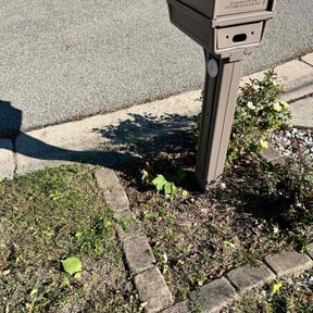 Bush Trimming by Jay R reviewed on May 15, 2025