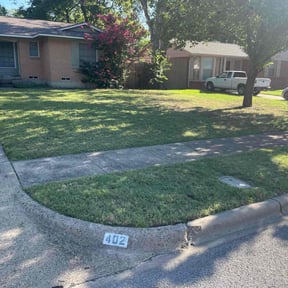 Cleanups by Three E's Lawn Care LLC. reviewed on September 15, 2020