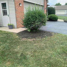 Cleanups by Lamberts Lawn trim and maintenance reviewed on May 14, 2022