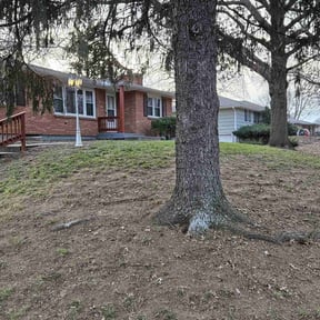 Leaf Removal by ARG landscape & Lawn LLC reviewed on August 14, 2025