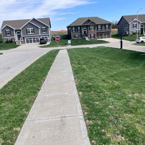 Lawn Treatment by See Real Cuts reviewed on October 20, 2022