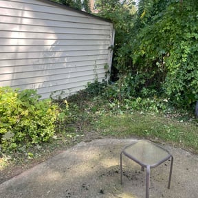 Cleanups by Chucks Cutz LLC reviewed on June 9, 2025
