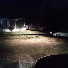 Leaf Removal by T & B Lawn Care reviewed on July 25, 2022