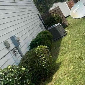 Bush Trimming by Blackburn Enterprises reviewed on April 3, 2025
