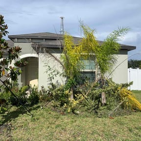 Weed Pulling by Ultimate Landscape Contractor reviewed on March 19, 2025
