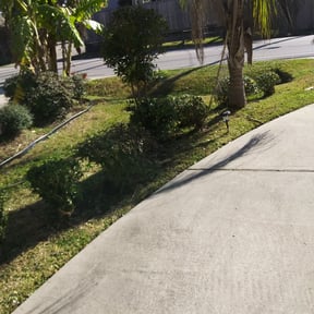 Bush Trimming by LoneStar Mow Pros reviewed on November 9, 2024