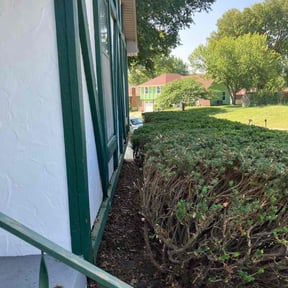 Bush Trimming by Smith Co. Lawn & Landscapes reviewed on October 9, 2020