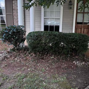 Bush Trimming by Dans Lawn Care reviewed on November 26, 2024