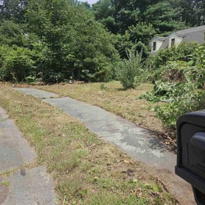 Cleanups by TC SERVICES reviewed on June 30, 2022