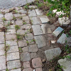 Leaf Removal by Miller Lawn Service reviewed on August 19, 2020