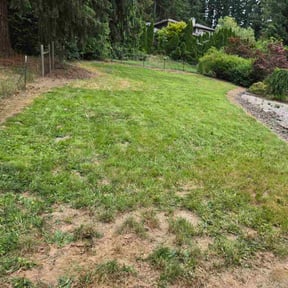 Mulching by Bryon&quot;s Landcaping Service reviewed on November 19, 2024