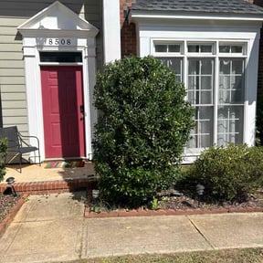 Bush Trimming by Mlt lawns LLC reviewed on August 4, 2025