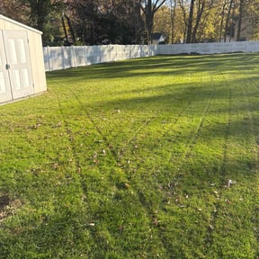 Leaf Removal by C&J Lawn Care reviewed on April 18, 2022