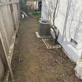Leaf Removal by Thom's mowing and lawn care reviewed on July 6, 2022