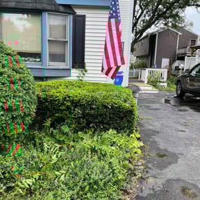Bush Trimming by B&SS reviewed on June 10, 2022