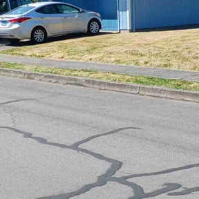 Weeding by Robert Norton’s Lawn Care reviewed on November 27, 2024