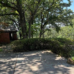 Bush Trimming by 4C's Lawn Care LLC reviewed on June 3, 2025